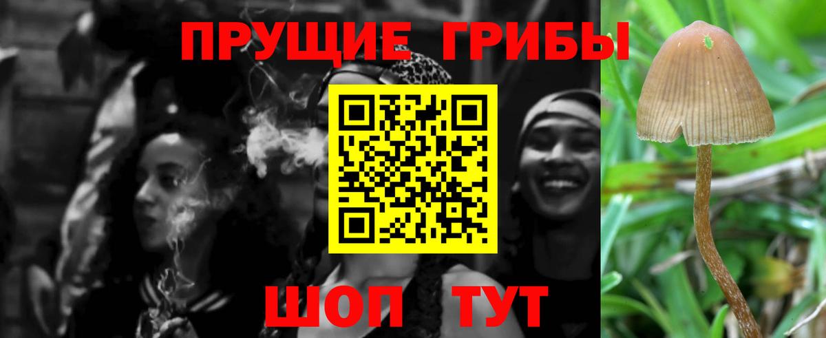 Псилоцибиновые грибы Magic Shrooms  Вход с VPN  Амурск 